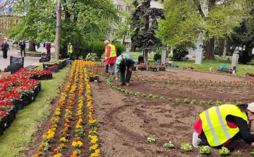 Počela sadnja 8.000 cvjetova u Malom parku